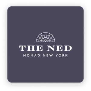 nedlogo3 nedlogo3